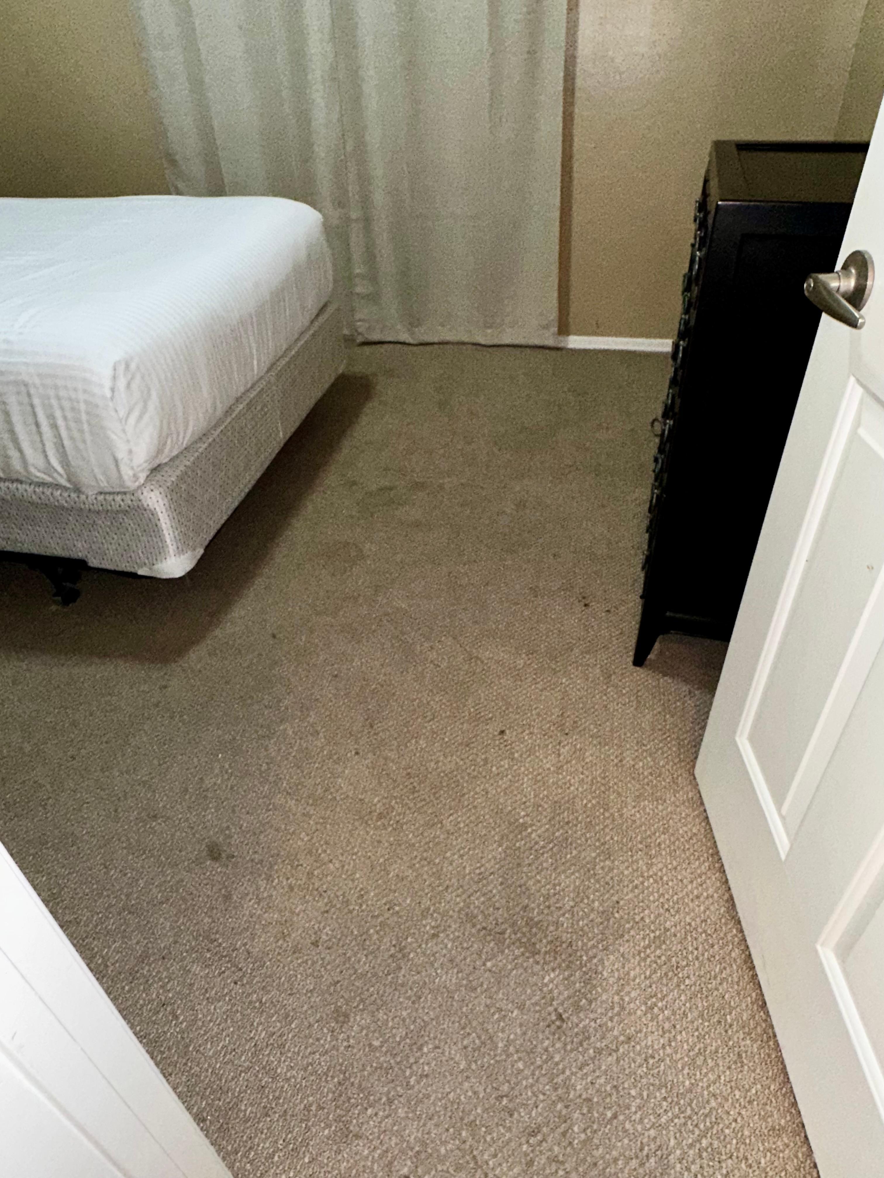 Stained carpeting, bedding, mattresses