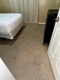 Stained carpeting, bedding, mattresses
