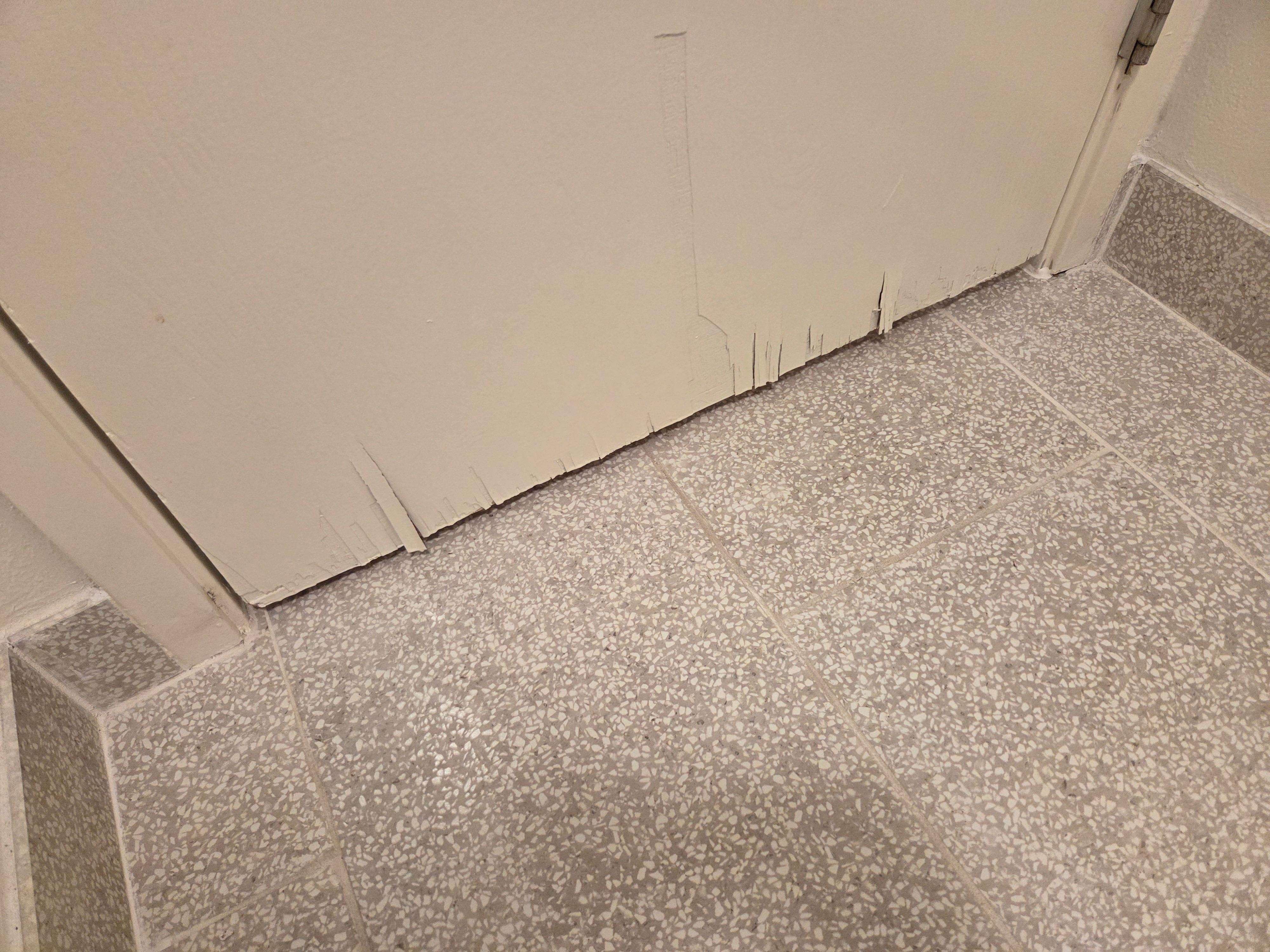 Frayed door frame in bathroom.