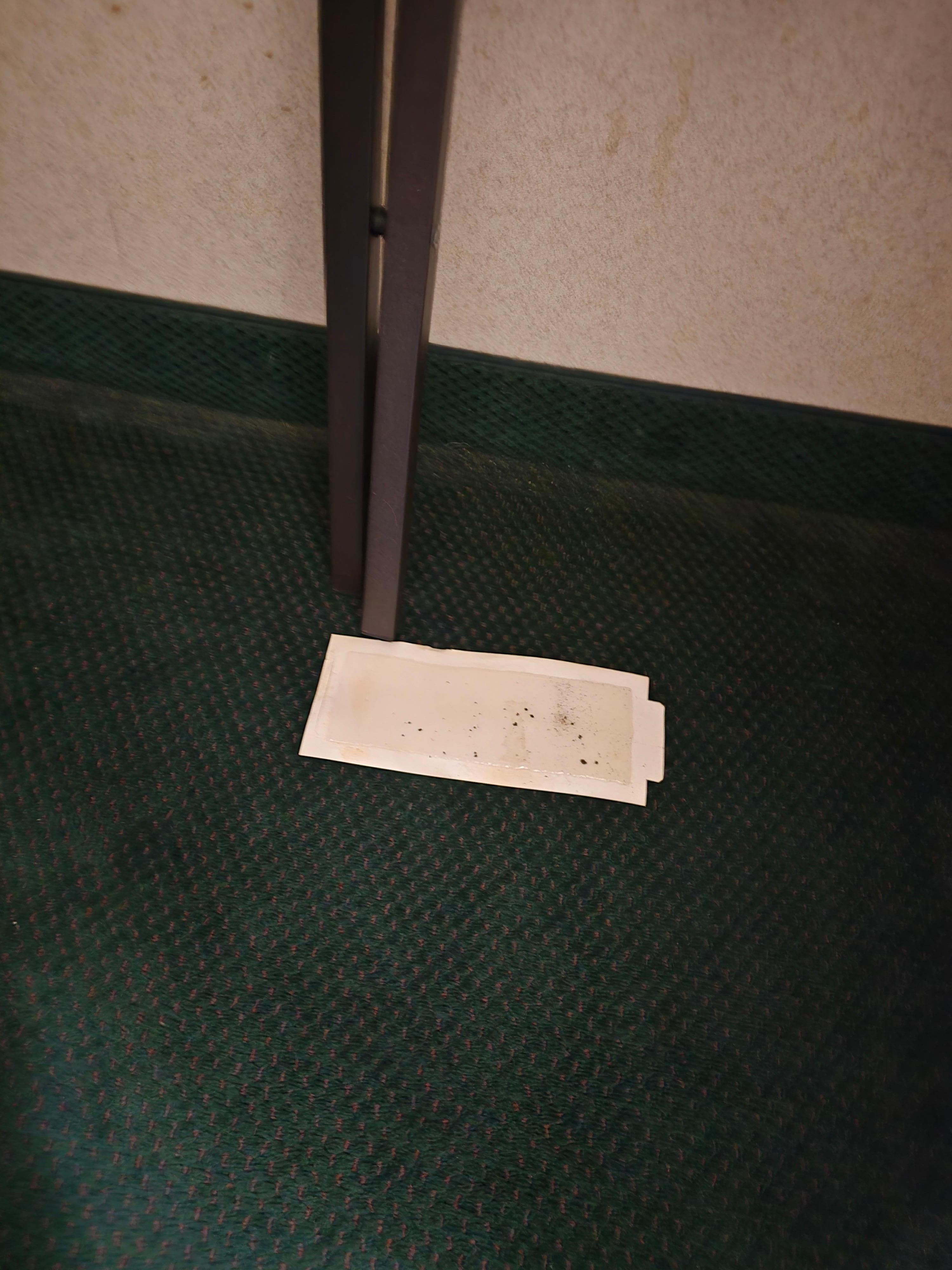 Sticky mouse trap we found under the sink