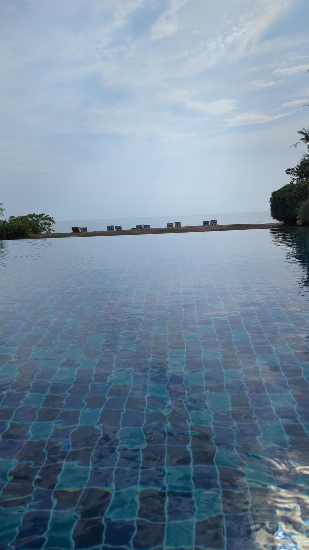 View from the pool. 