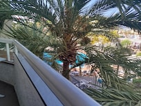 Vue palmiers et piscine