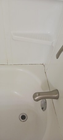 Mold in bathtub