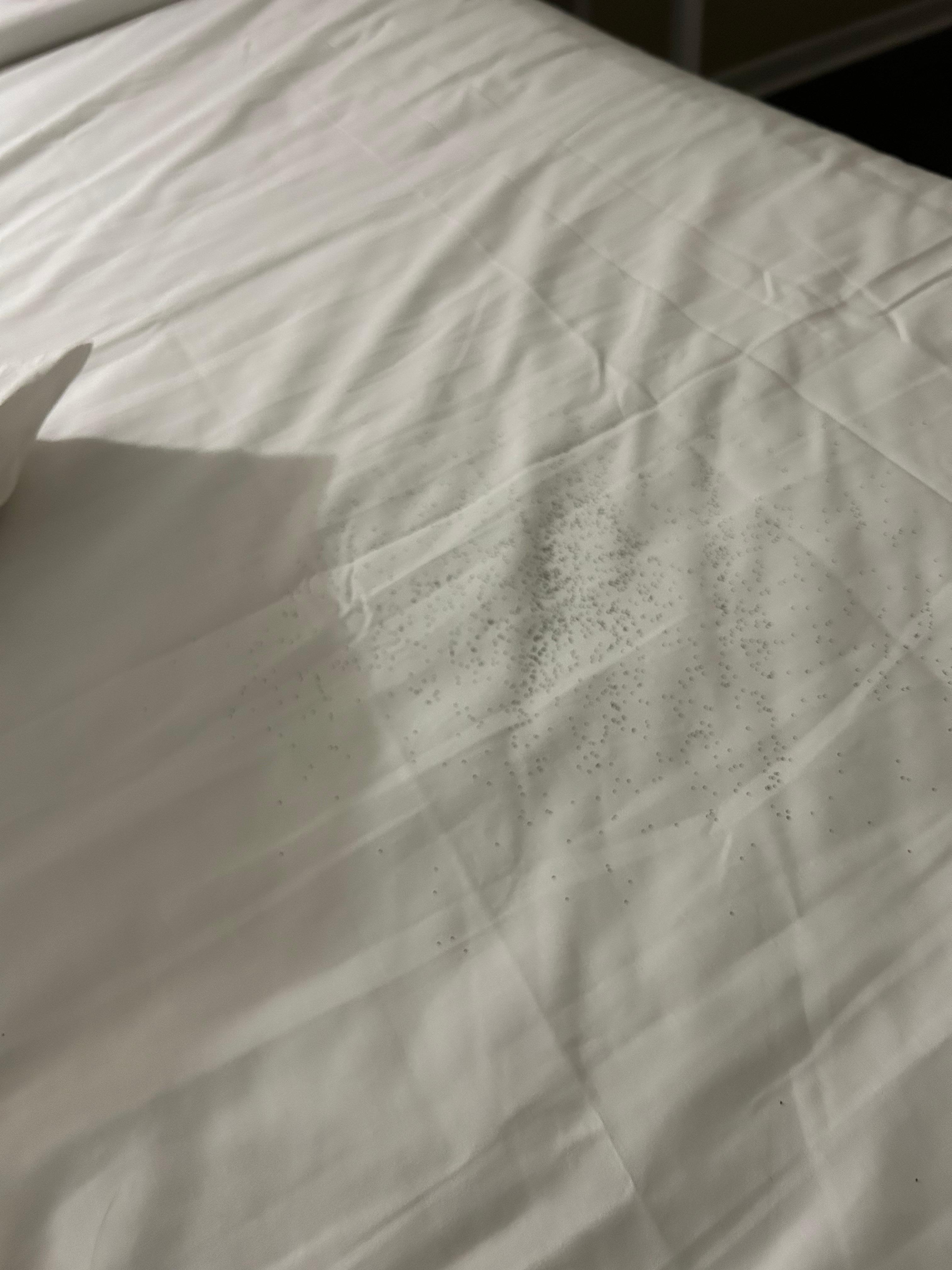 Stuff falling from ceiling 