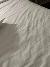 Stuff falling from ceiling