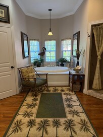 Master Bathroom and dressing room (Fabulous!)