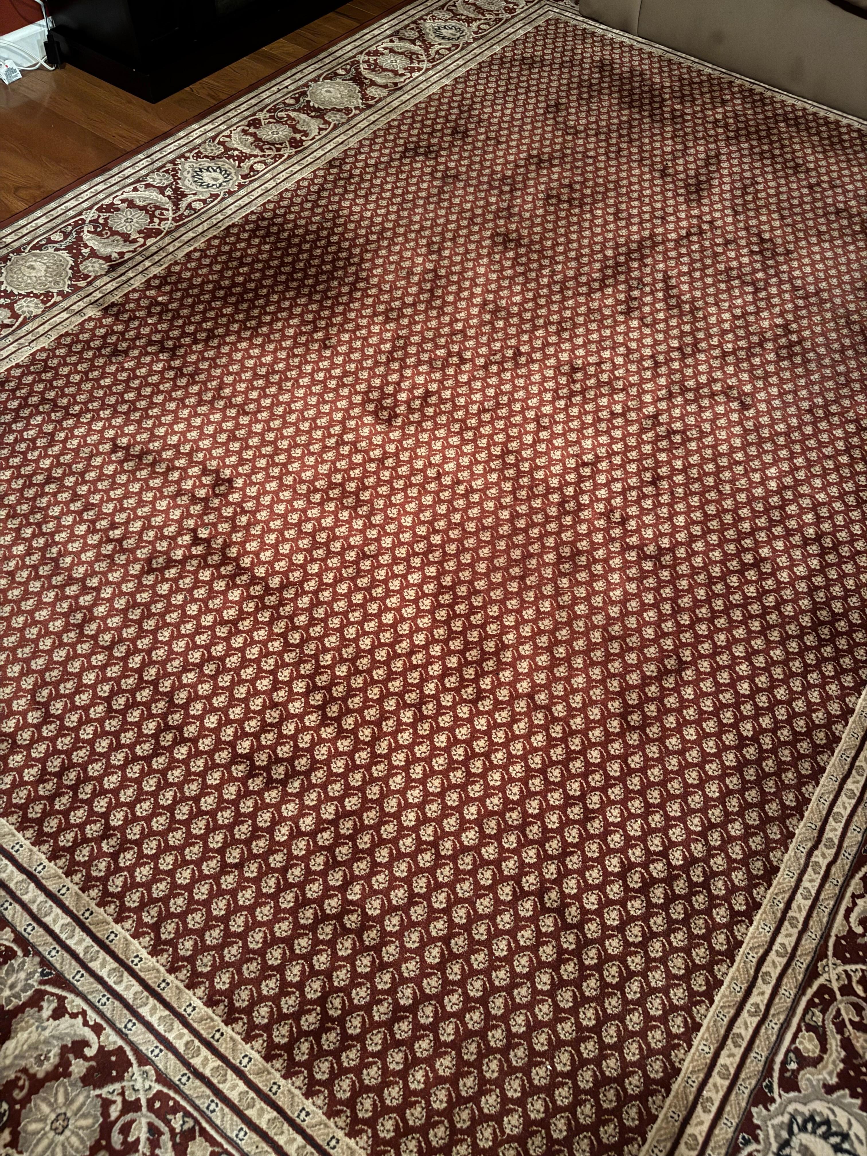 Carpet was either moldy from the ceiling dripping or carpet very stained. 