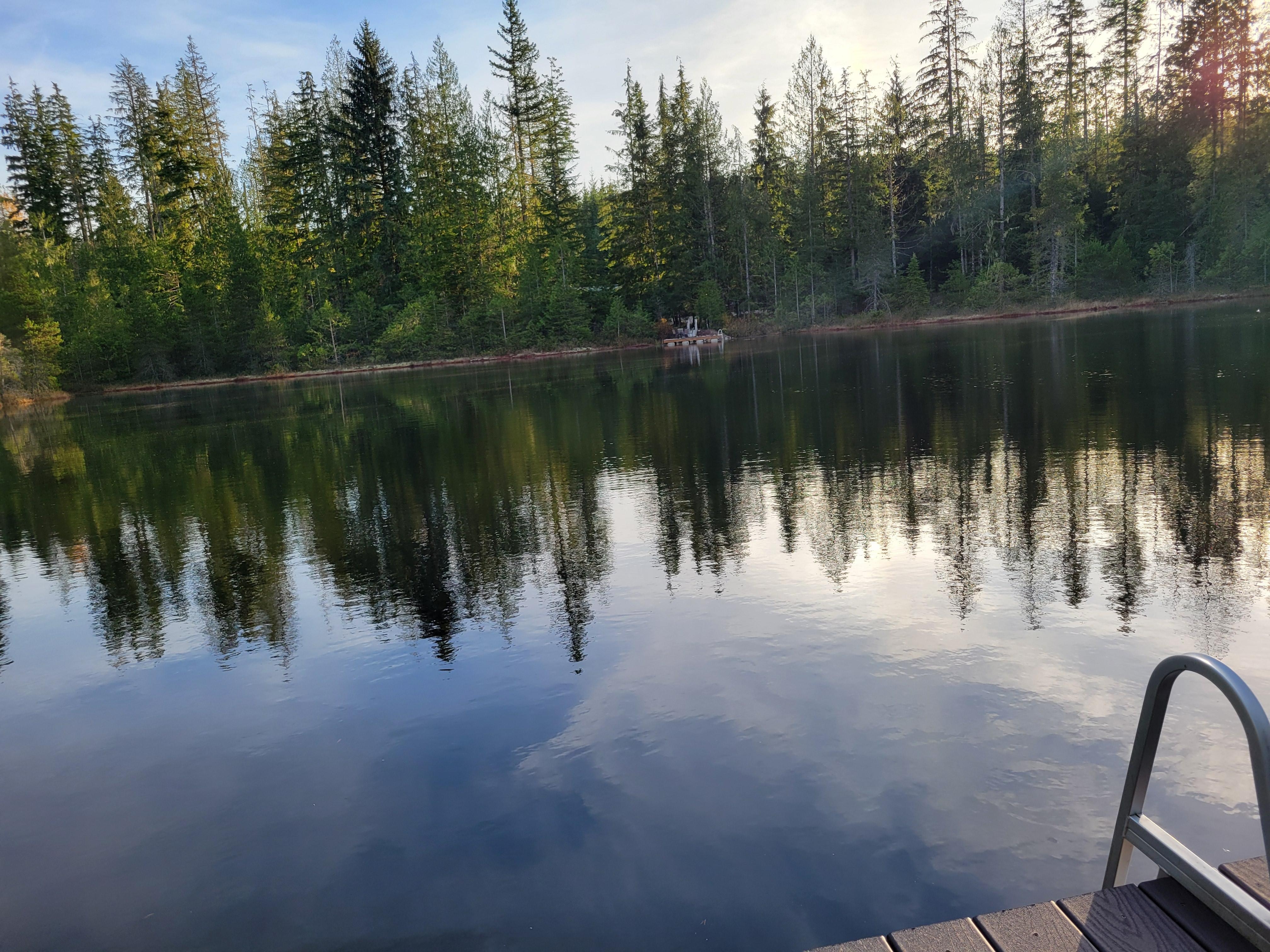 Beautiful view from the dock.
