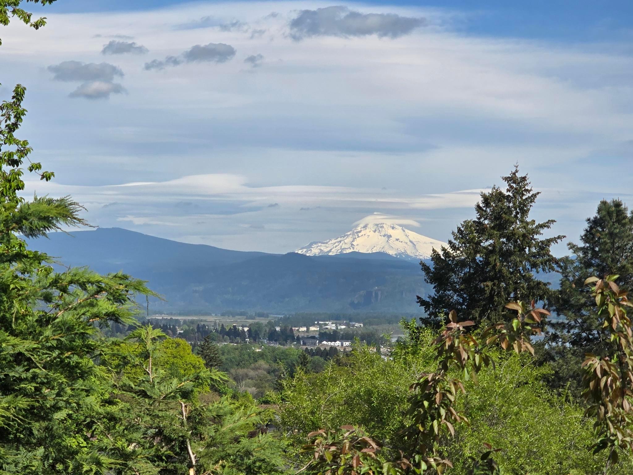 View from Living Room