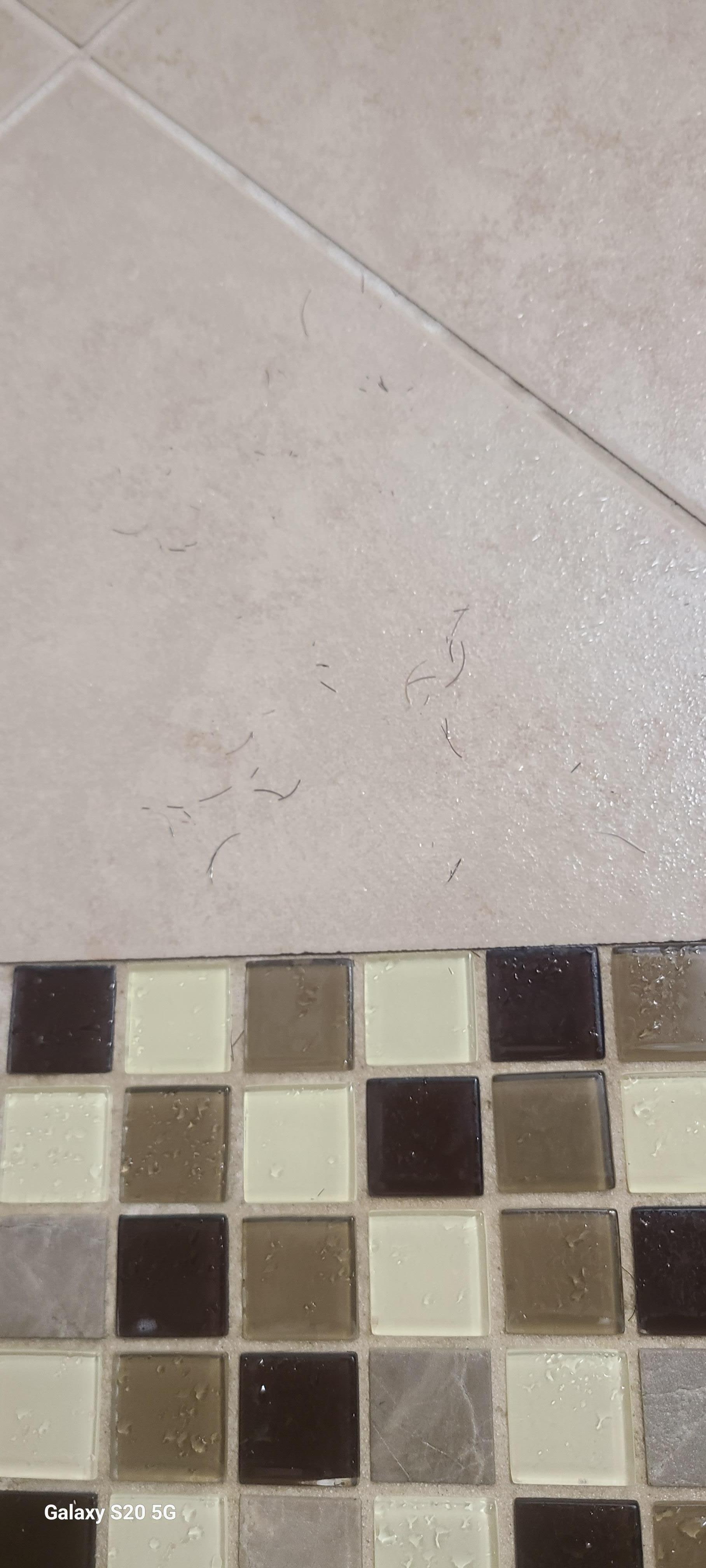 The towels were dirty and worn out. The bathroom was unclean, with hair on the walls. The bed felt like it had bugs, and my daughter woke up with bites on her skin, which could be bed bugs.