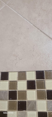 The towels were dirty and worn out. The bathroom was unclean, with hair on the walls. The bed felt like it had bugs, and my daughter woke up with bites on her skin, which could be bed bugs.