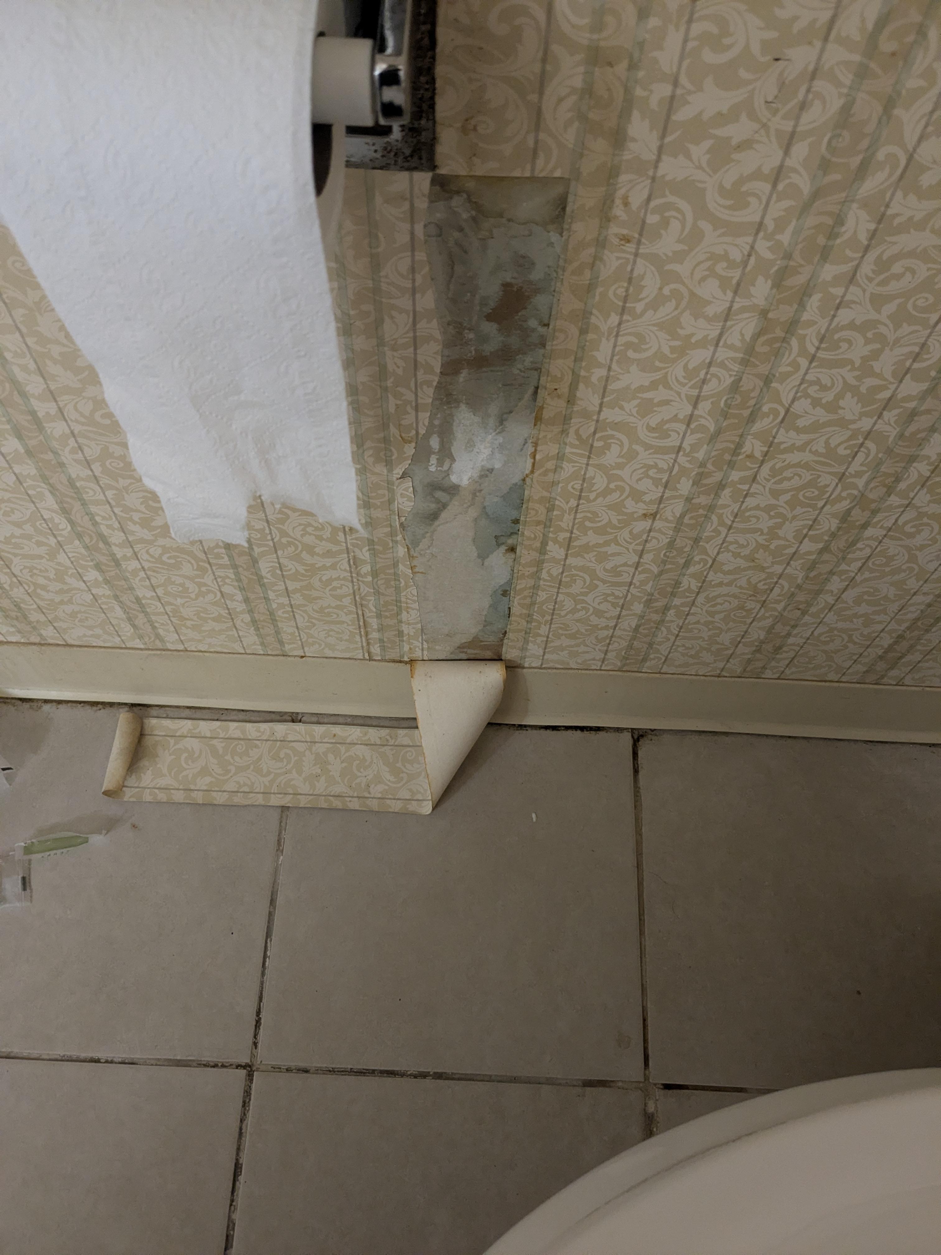 Wallpaper in bathroom torn and left 
