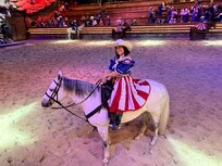 A for sure horse lover admiring the beautiful horse!