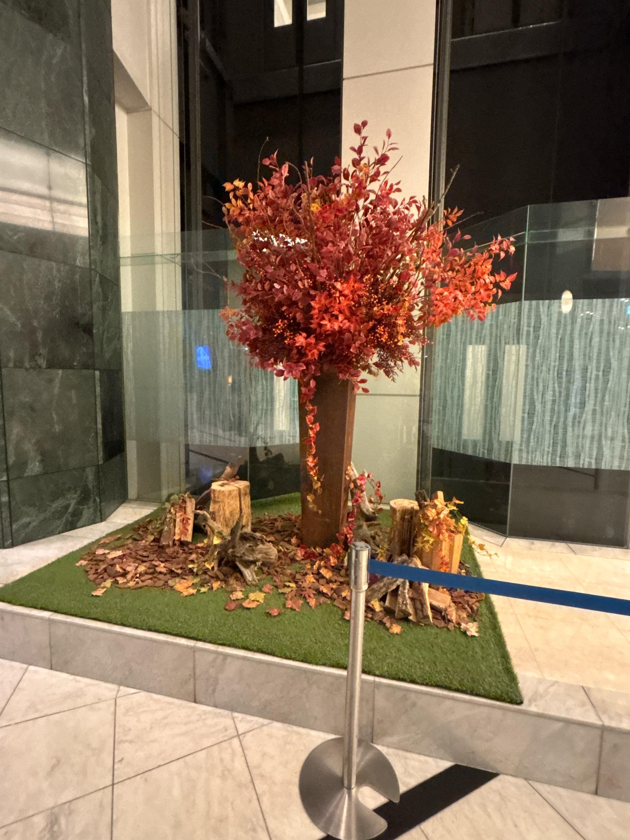 綺麗な装飾です♪