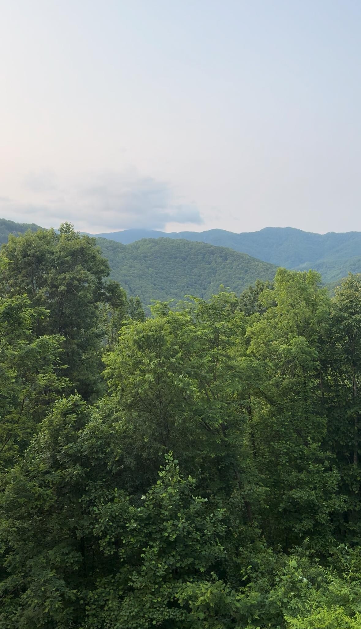 View from the porch. 