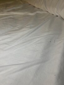 Photo of what they said was a clean bed upon arrival.