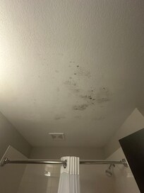 Mold on the ceiling