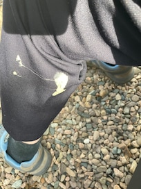 Gum