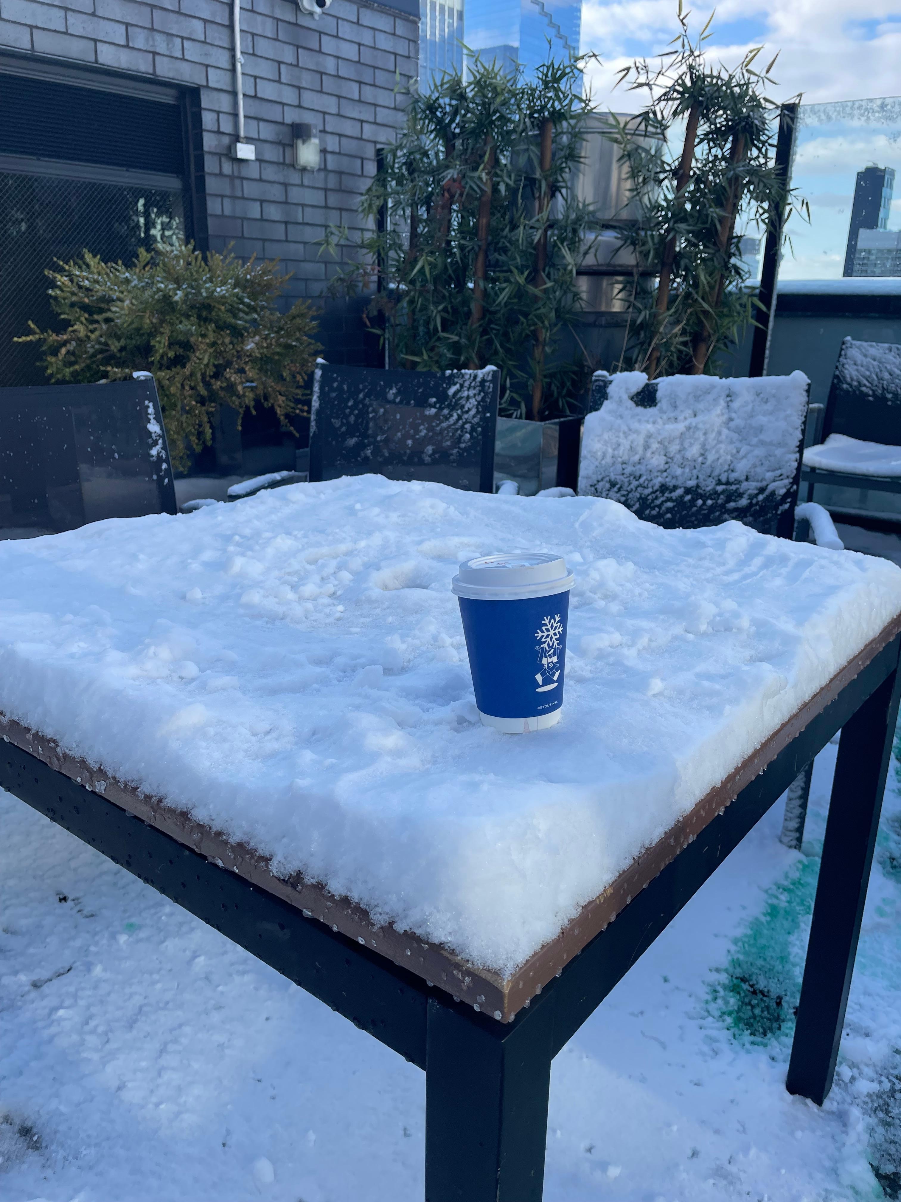 Our first snow experience, and the rooftop was a great way to see the white city.