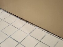Dirthy or Molded caulking