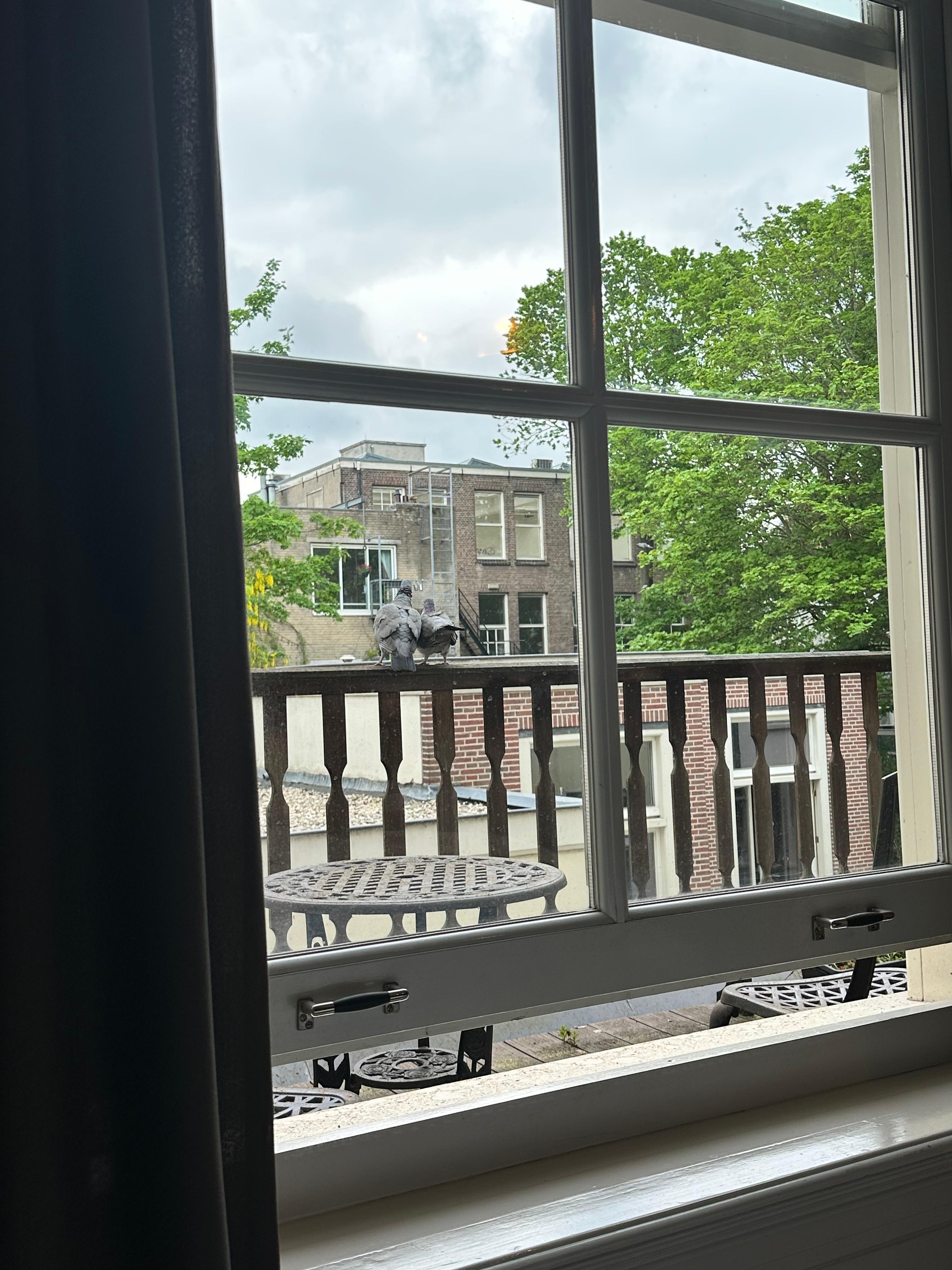 View from room