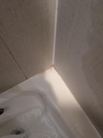 Posible mold
