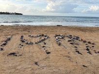 View on the beach