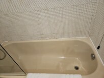 Horribly dirty and slippery tub
