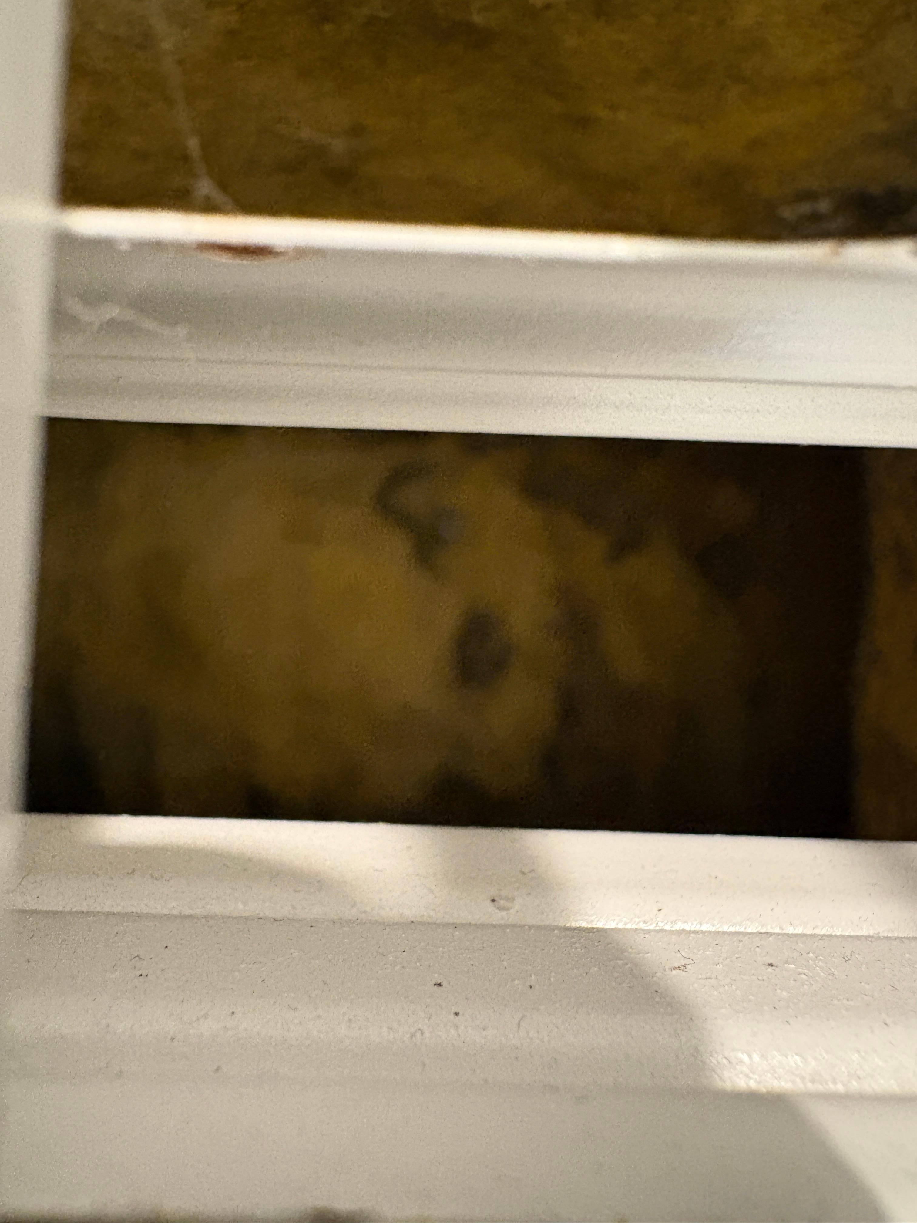 Inside downstairs bedroom A/C vent