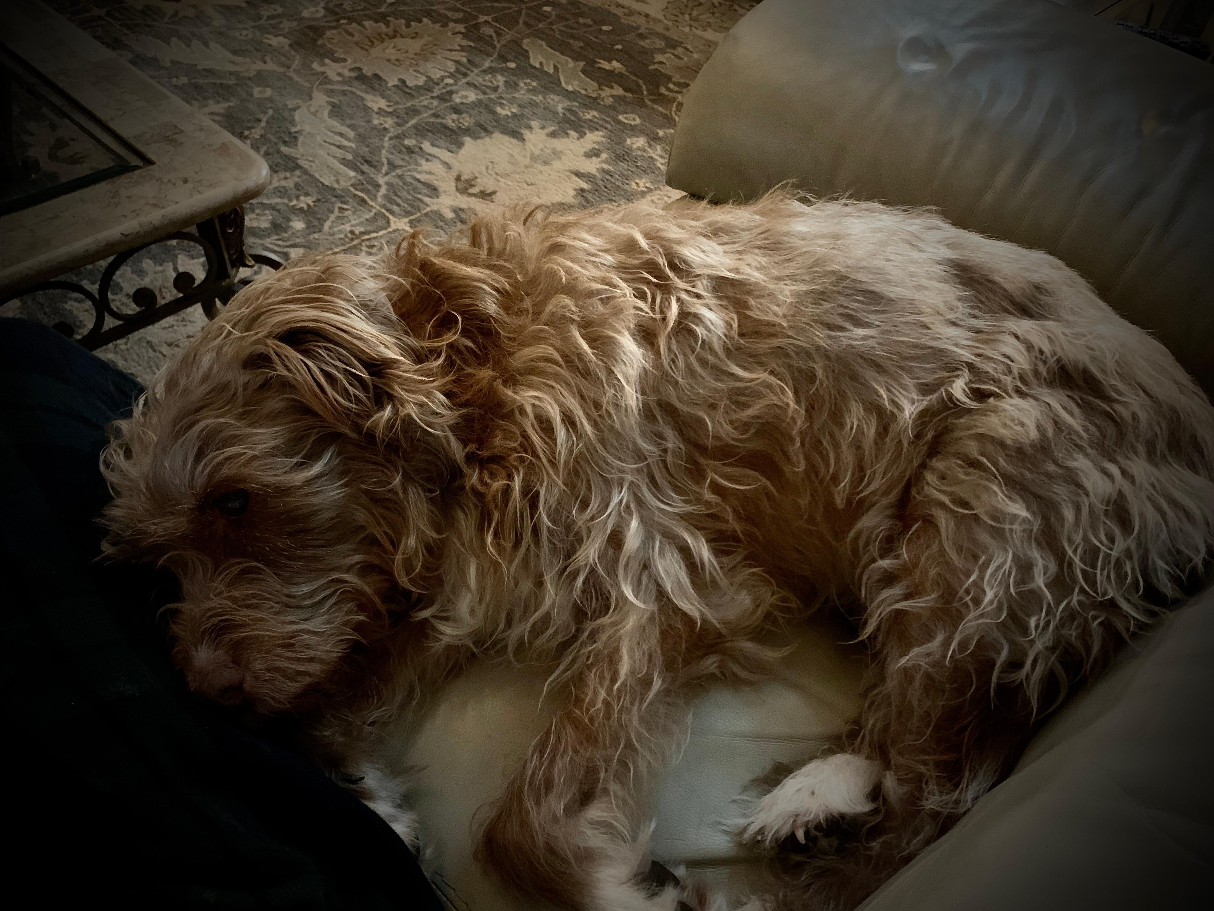 Penny was even happier!