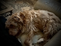 Penny was even happier!