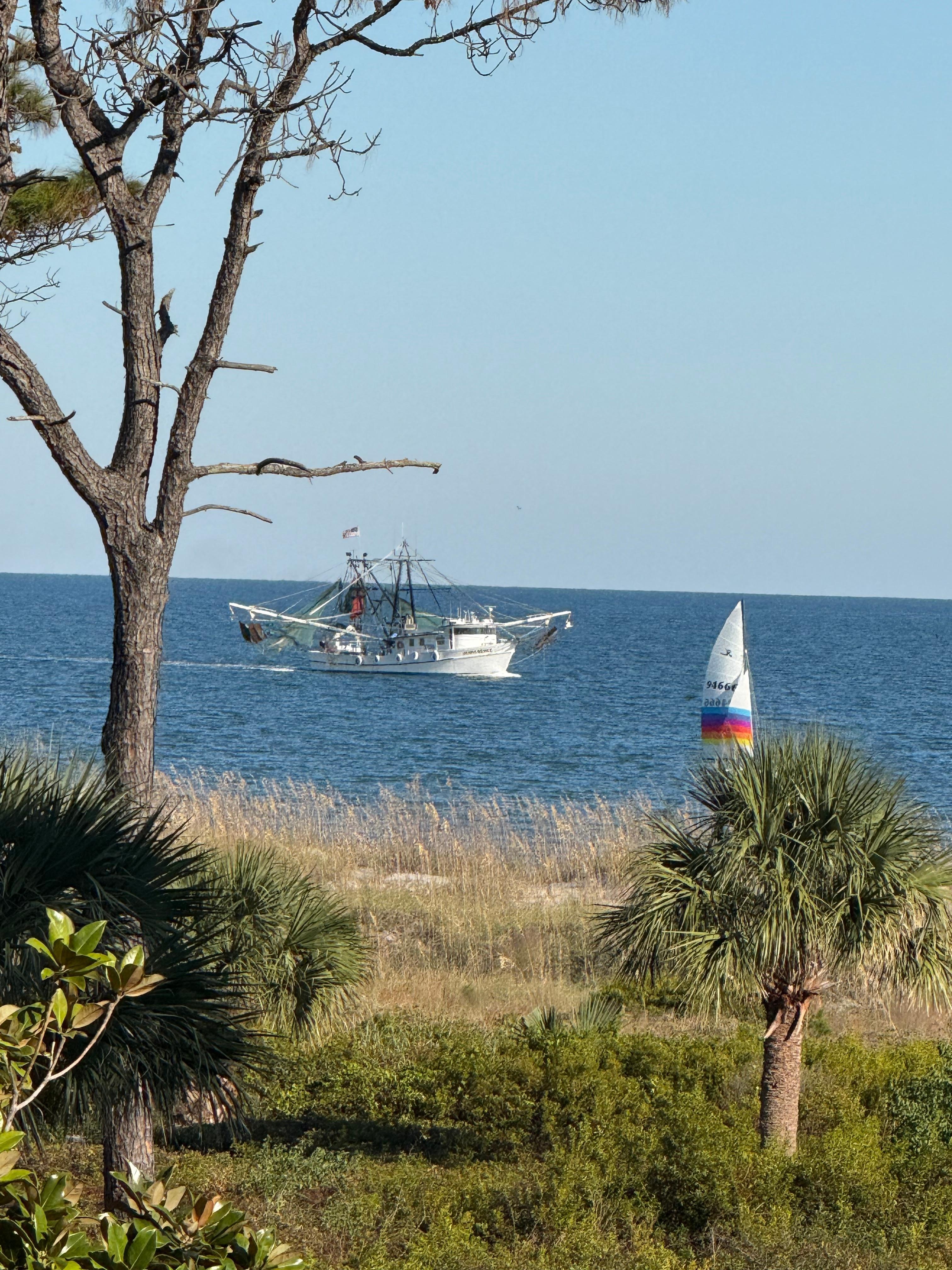 View from the balcony.