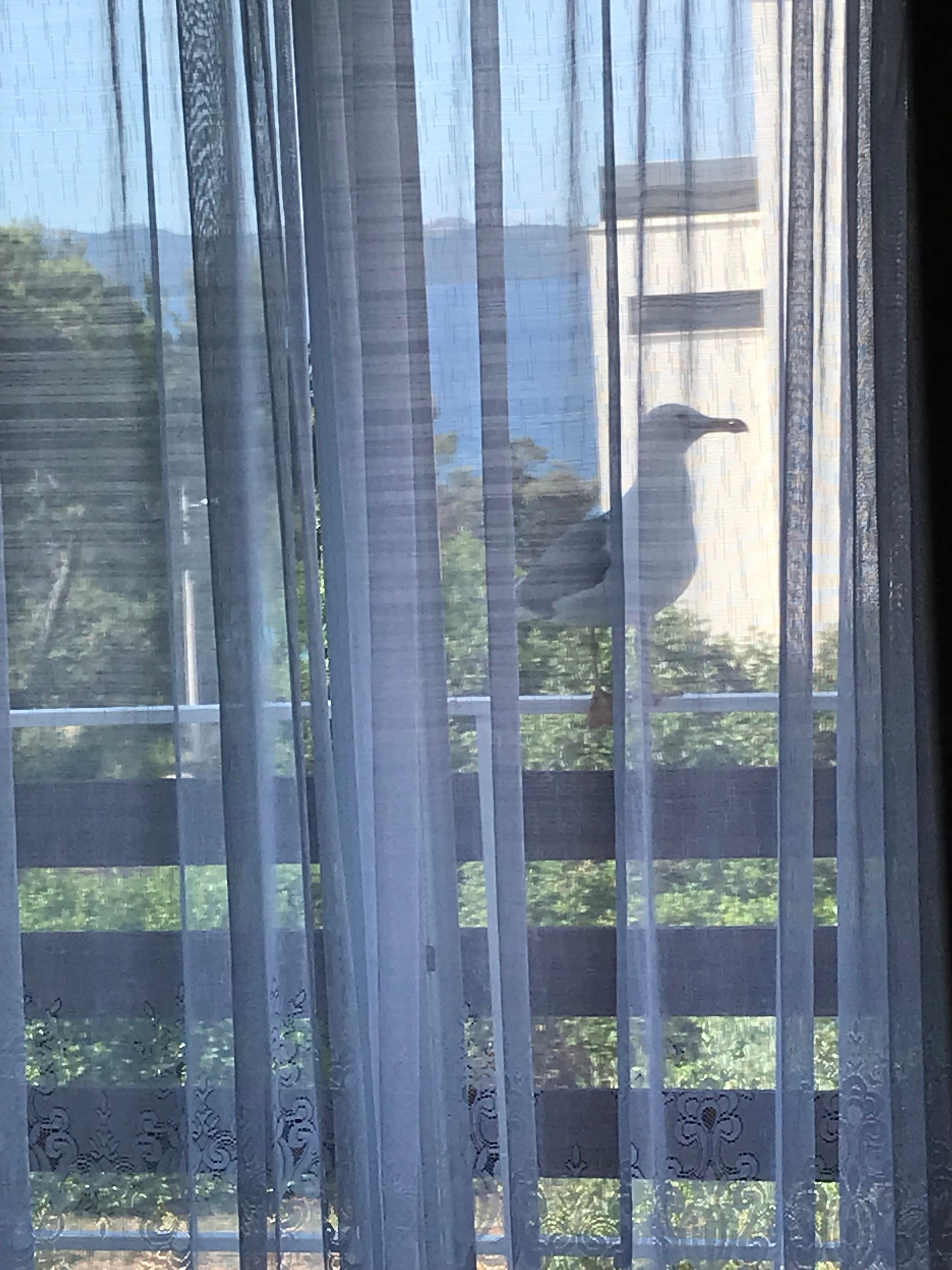 Balkon 2