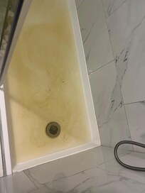 Sewage backup into the shower