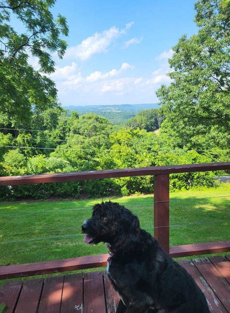 View from the front balcony/deck.