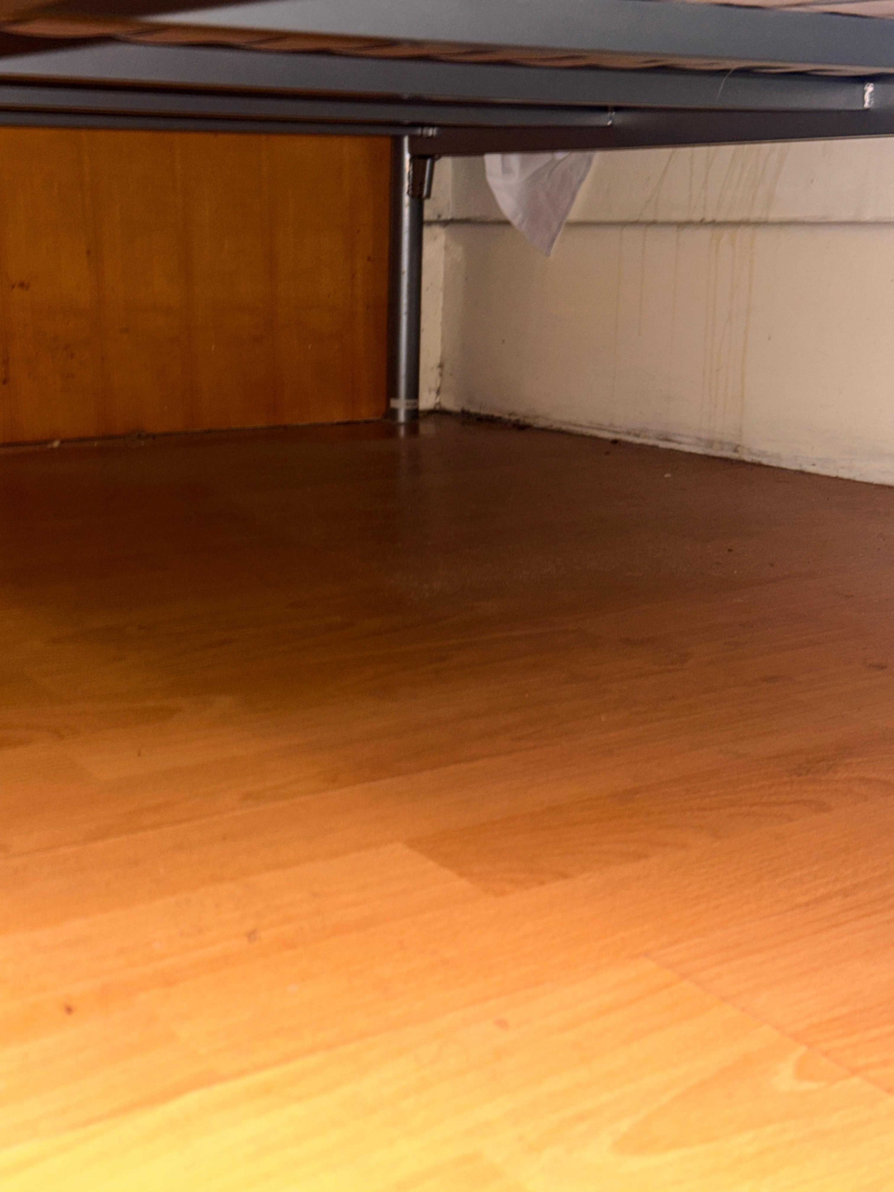 Flecken und Schimmel unter Bett 2