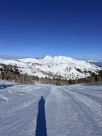 Ski at Powder