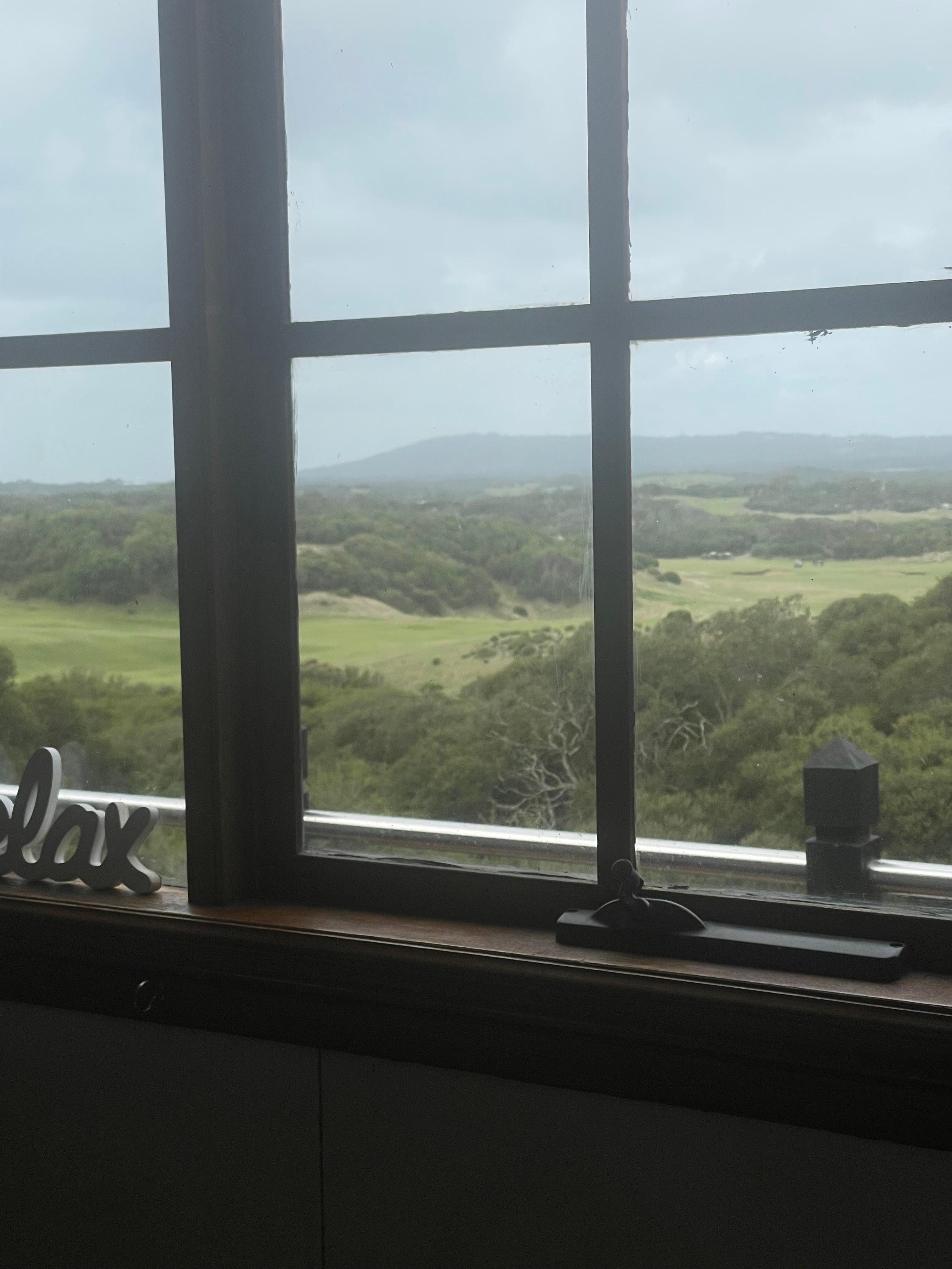 Bathroom window 