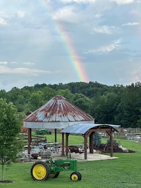 Gorgeous rainbow after a refreshing rain