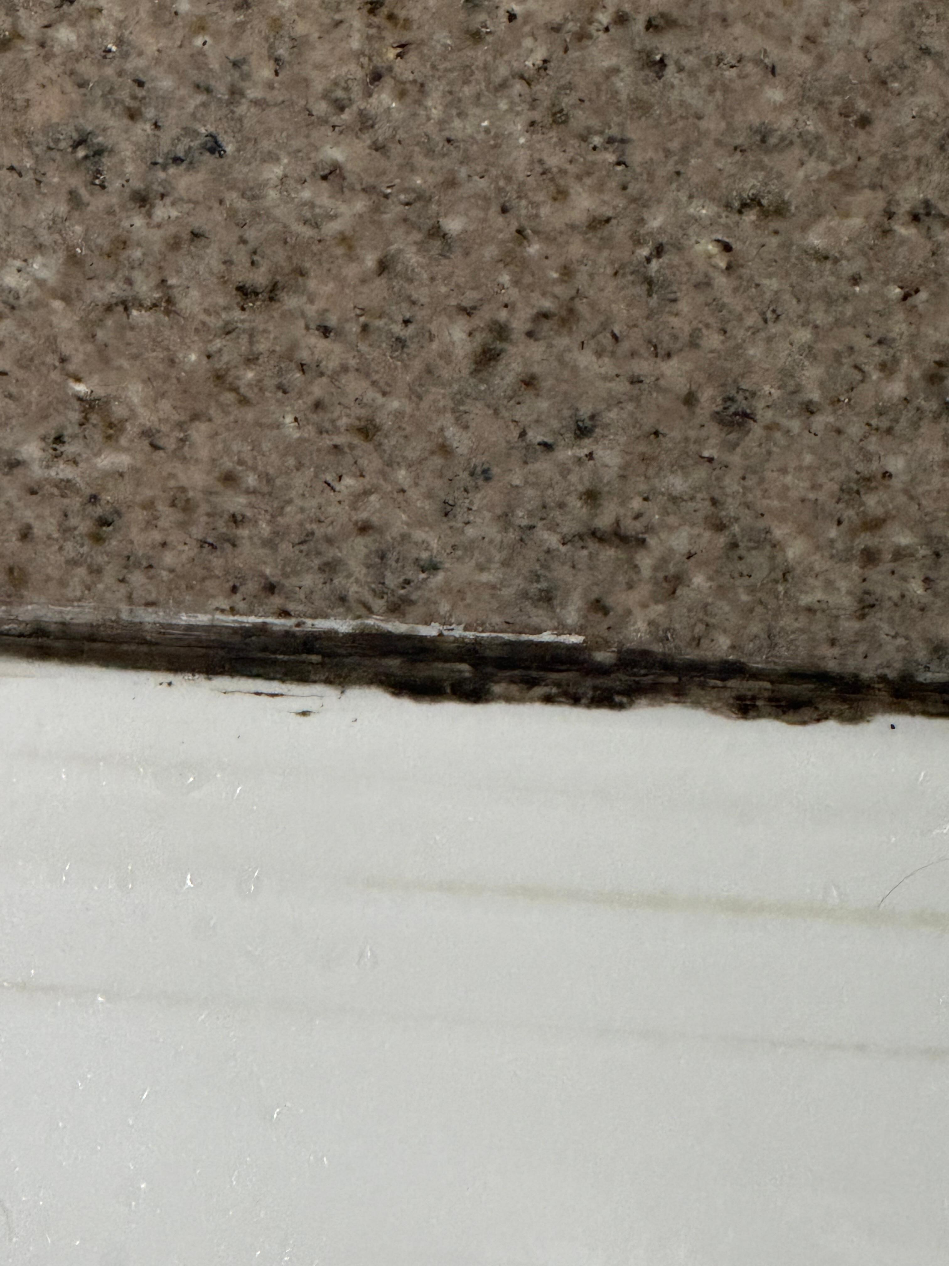 Shower Caulking