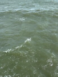 Jax Beach close
