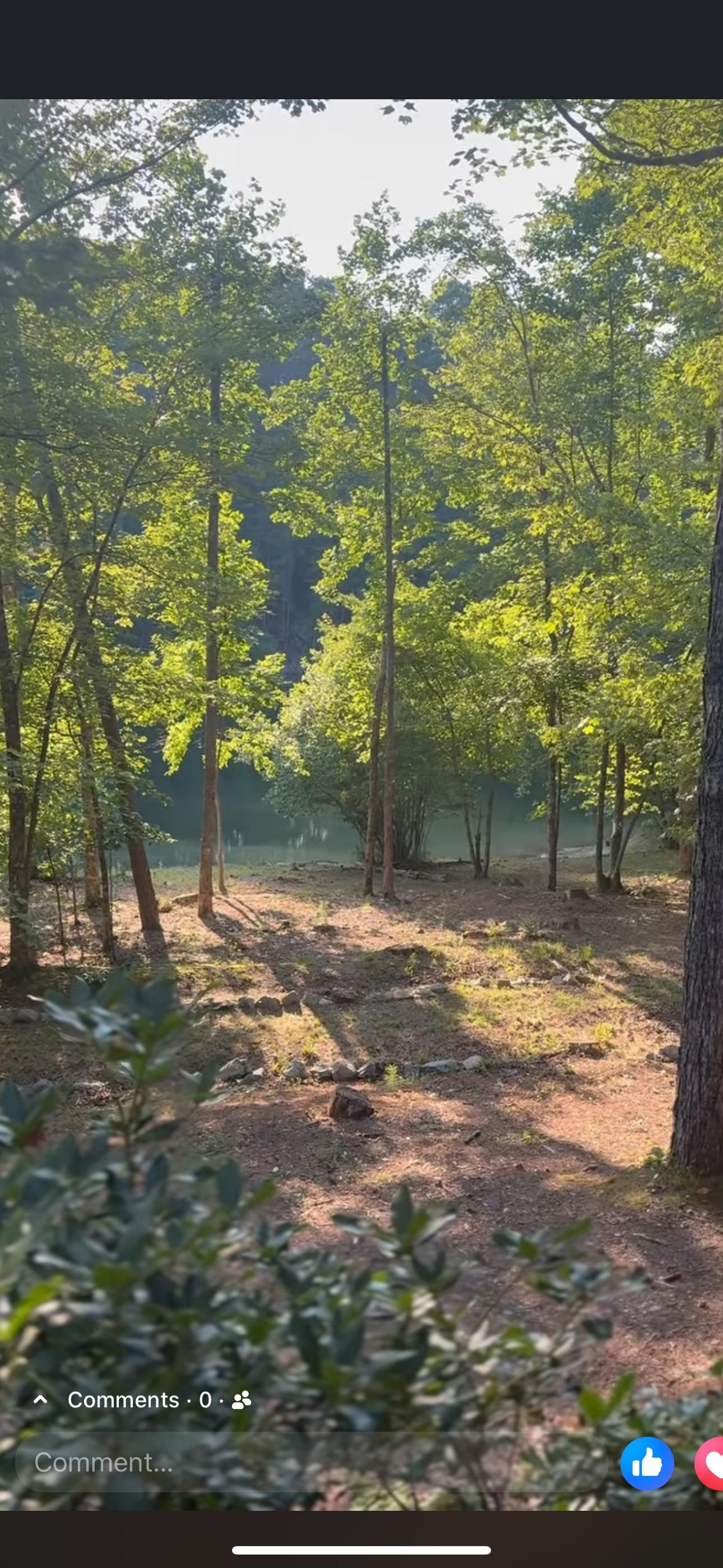 View from the cabin porch. 