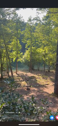 View from the cabin porch.