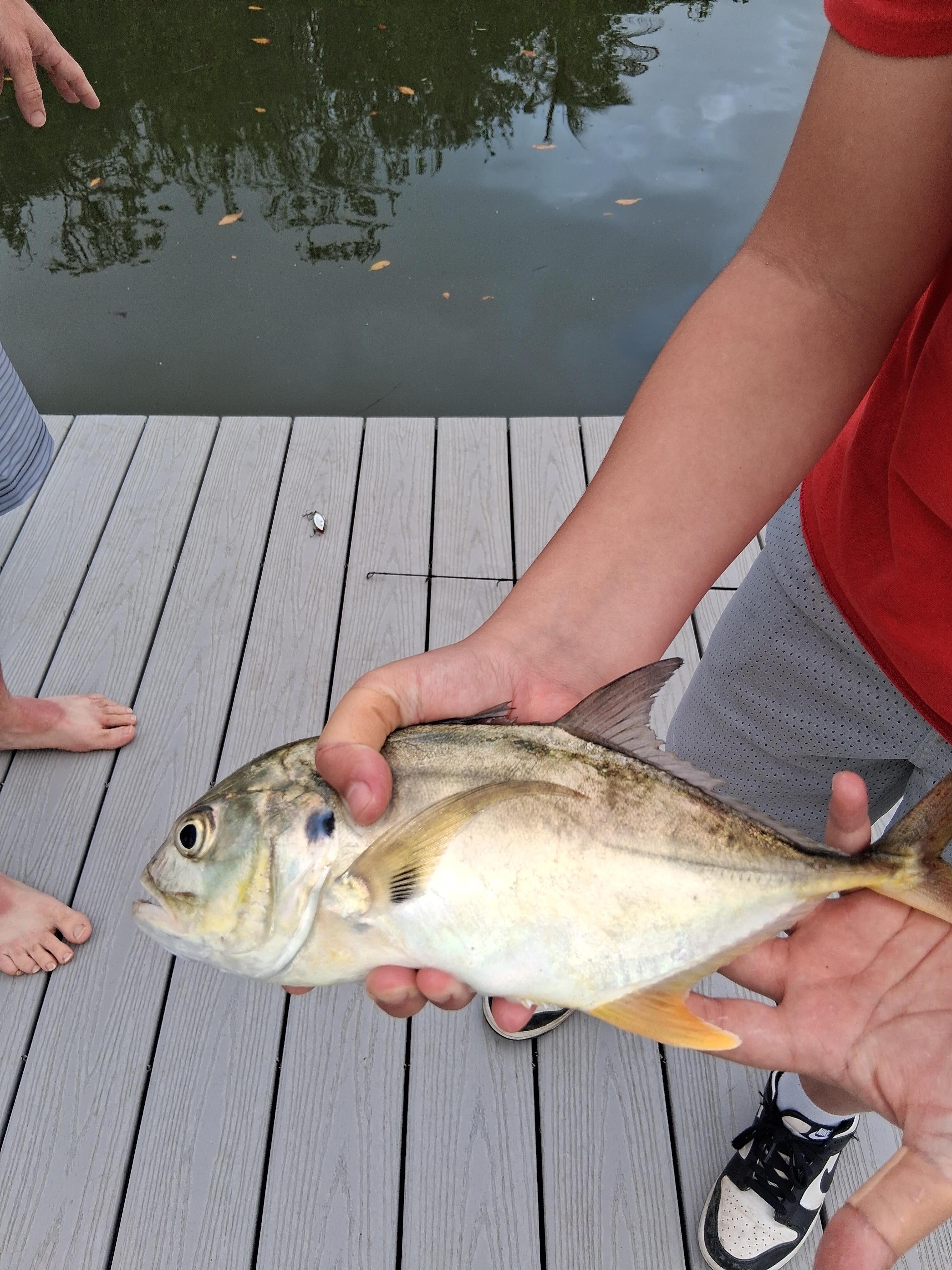 Fishing off the dock 