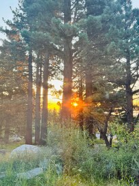 Golden sunrise glow. View from the master bedroom.