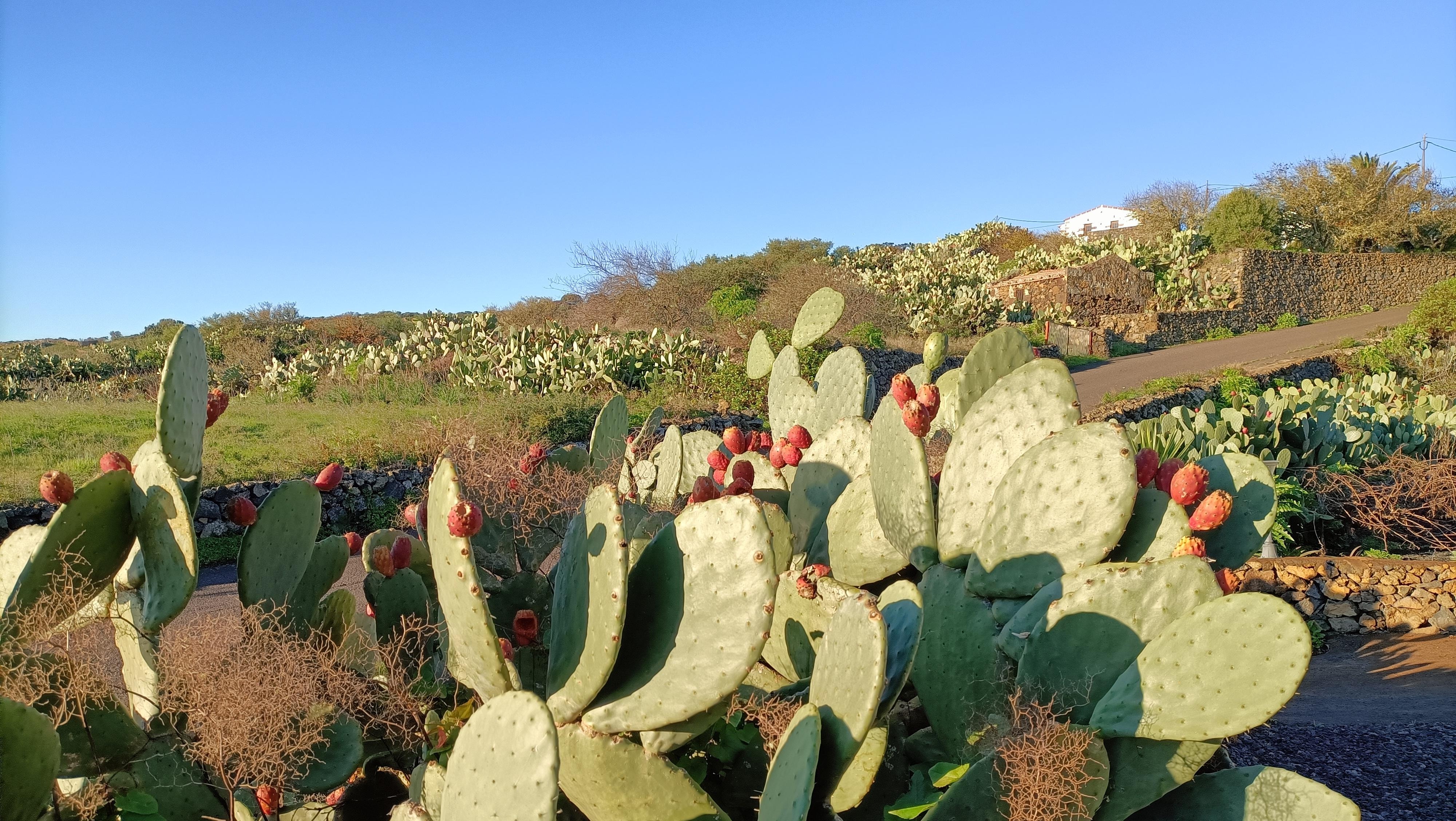 Teil vom Grundstück 