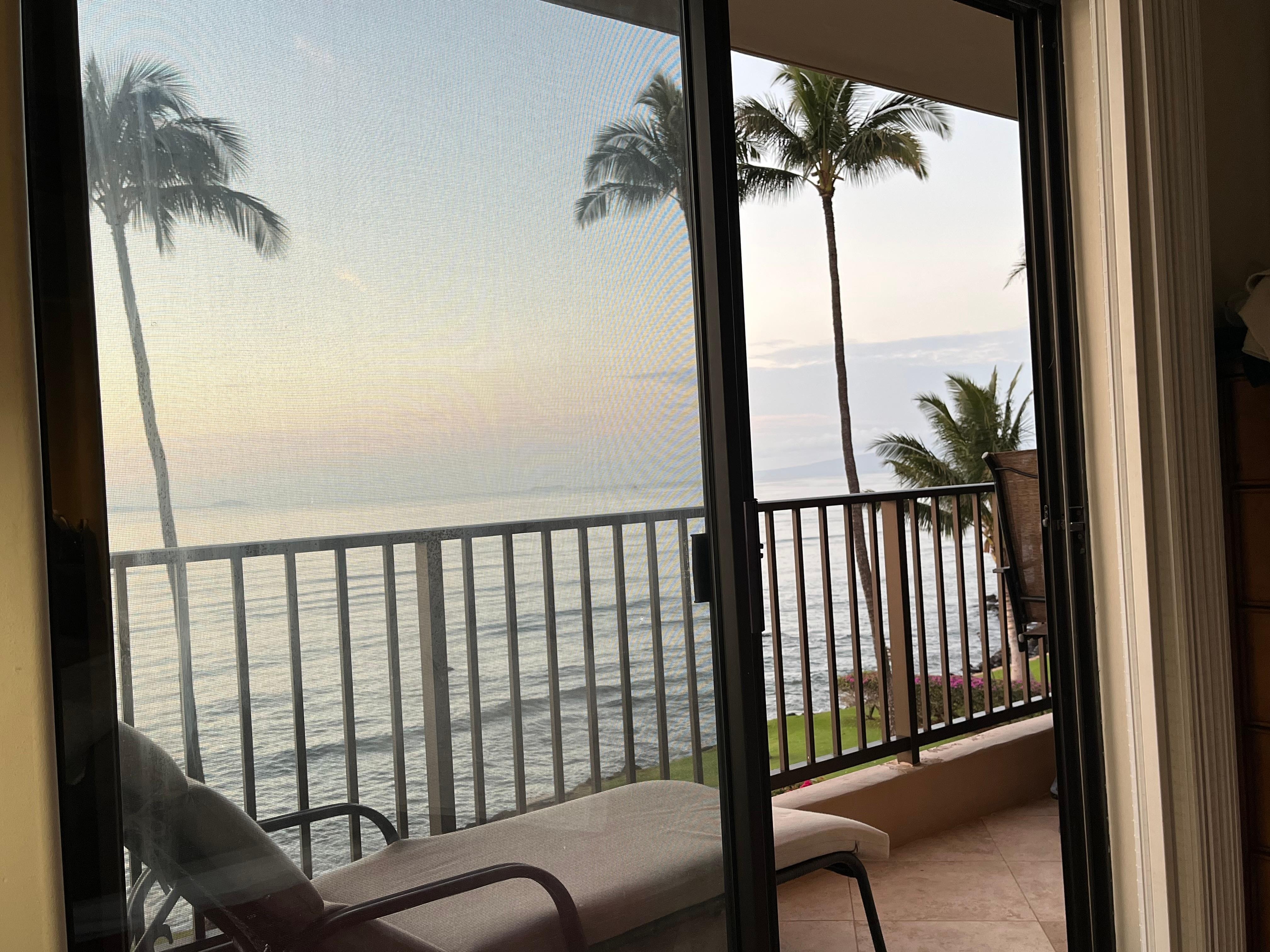 View from the deck where we watched whales everyday. 