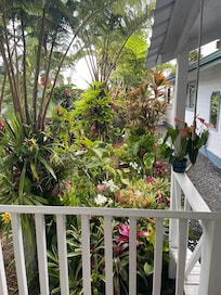 View from lanai