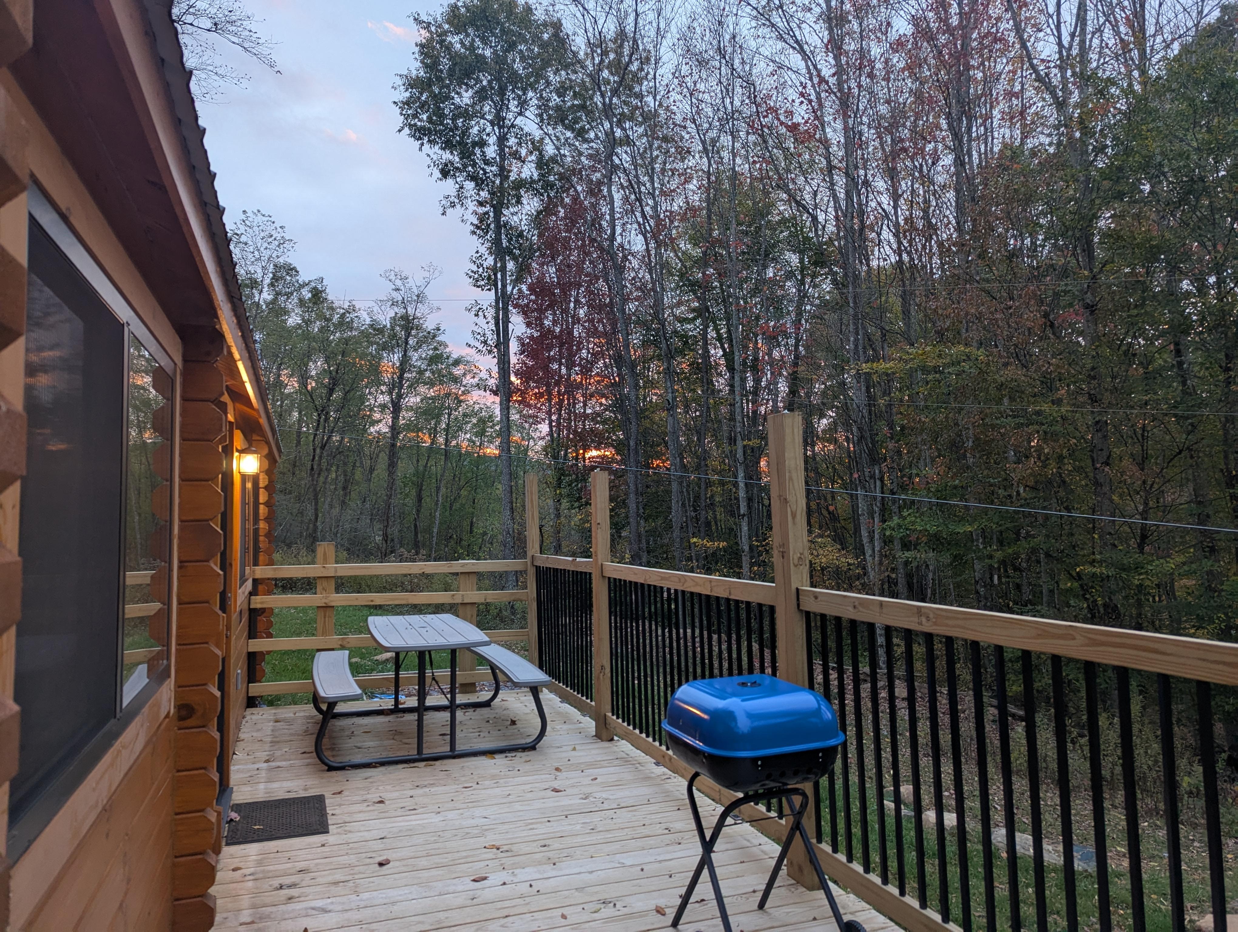 The deck and some of the surrounding area.