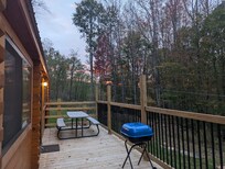 The deck and some of the surrounding area.